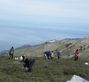 Δεντροφύτευση-1